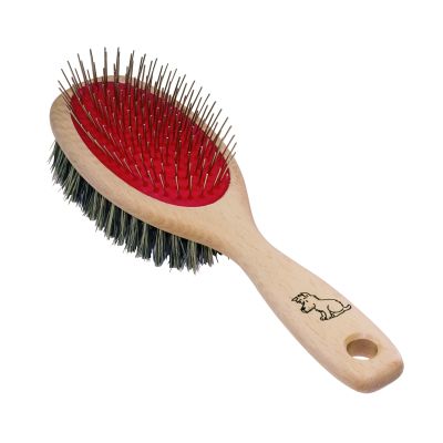 Hundebürste aus Buchenholz