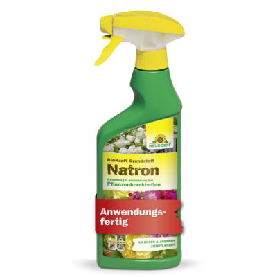 BioKraft Grundstoff Natron